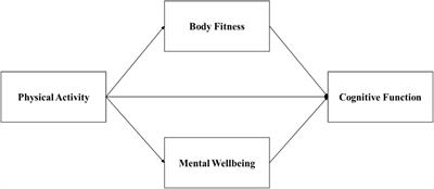 Quantifying the parallel mediation influence of body mass index and depression on physical activity and cognitive function among 3,611 Chinese older adults